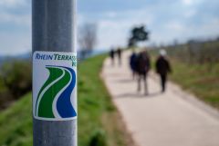 RheinTerassen Weg