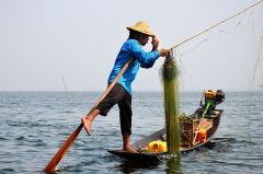 Myanmar - Inle See - Einbeinfischer